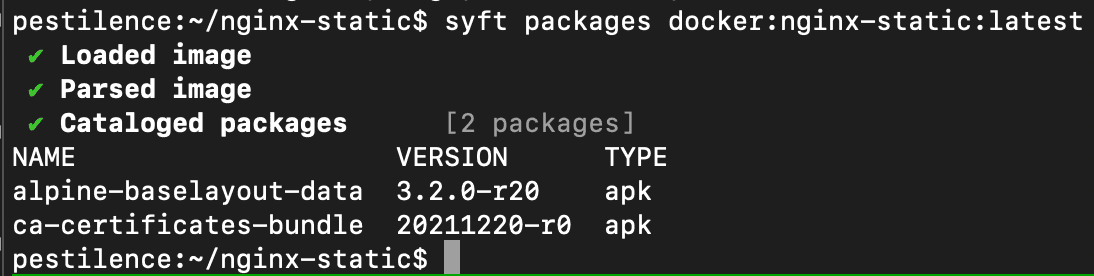 A nginx container image, scanned with syft